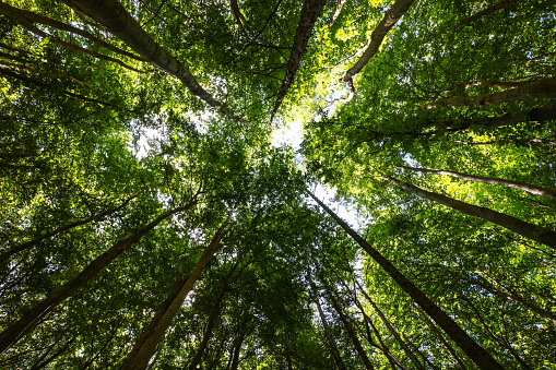 Antea Group Ranks #17 in Environment Analyst’s Global Environmental & Sustainability Consulting Market Assessment 