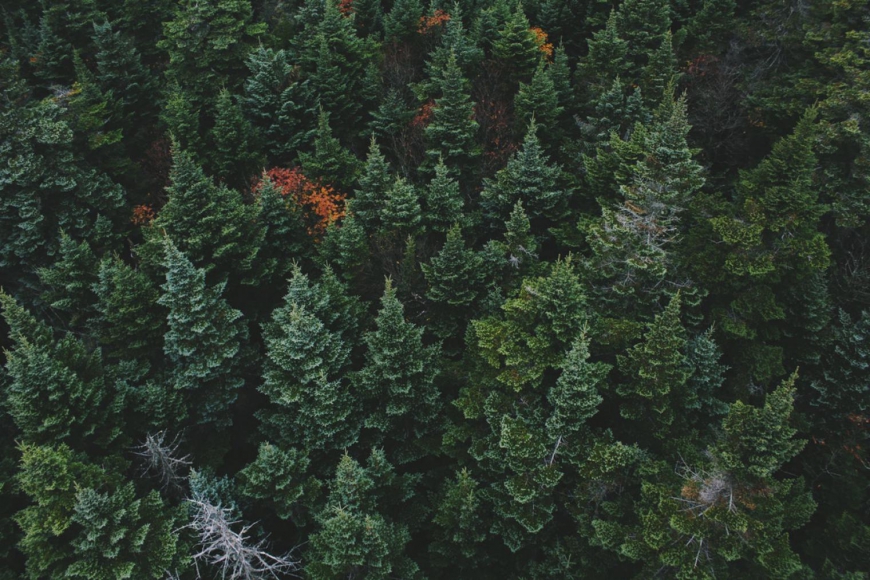 Product Stewardship