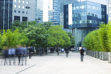 Navigating the Evolving Landscape of EHS and Sustainability in Finance 