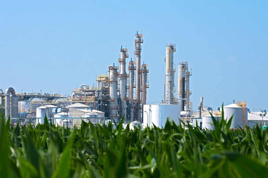 Renewable Fuels Industry