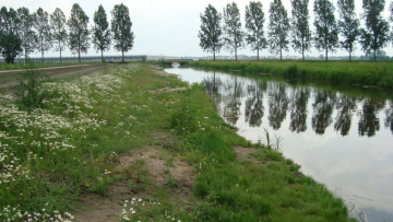 Water Runoff