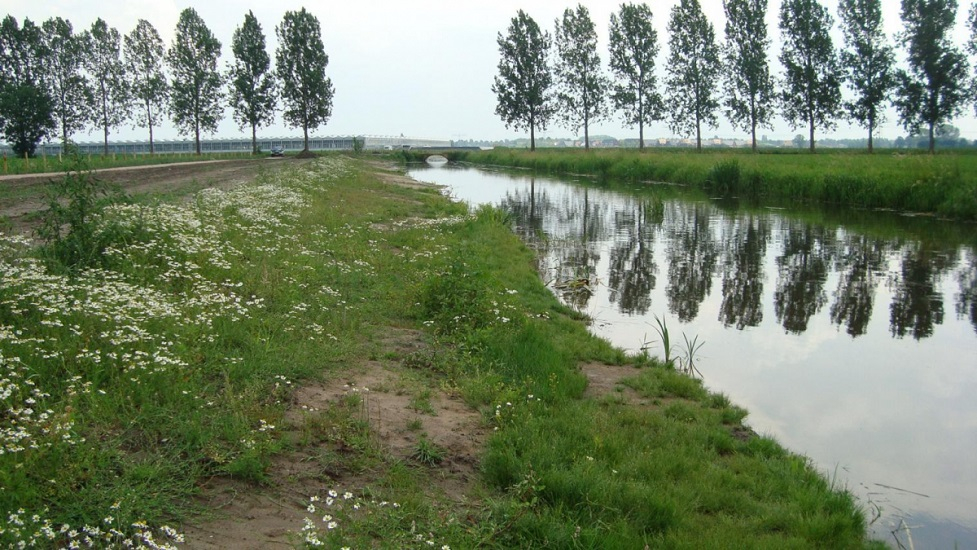 Water Runoff