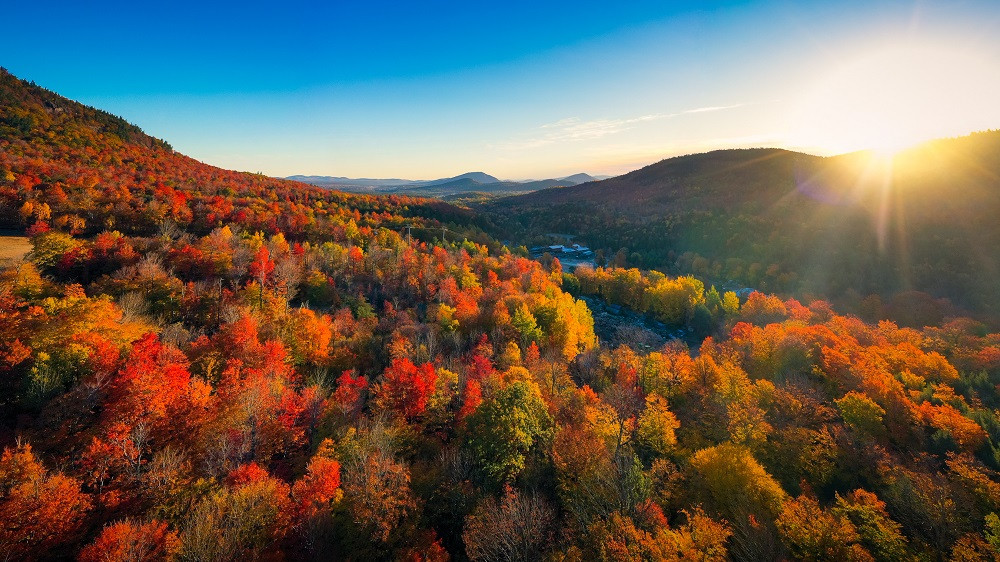 Fall Foliage