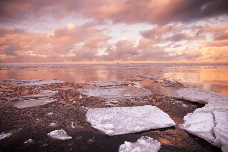 Ice sheets floating in sea