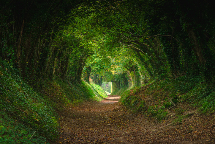 Show Don't Tell: 5 Characteristics of a Powerful Sustainability Story