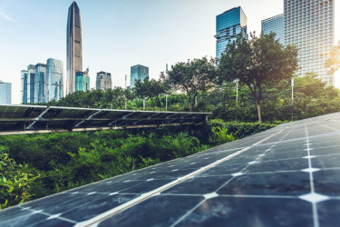 What is ESG? Your Guide to Understanding Environment, Social, Governance