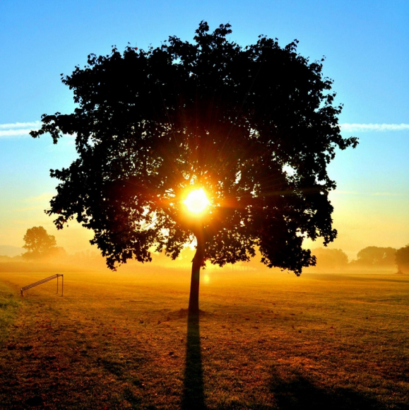 Creating an Energy Conservation Program