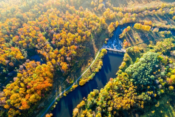 River running through woods in the fall