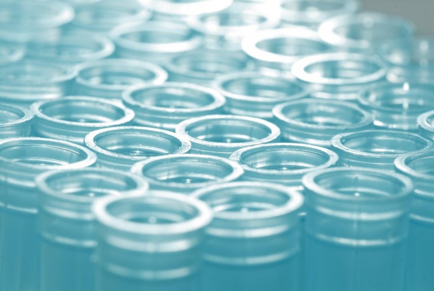 Hydrogeology, Biogeochemistry, and Environmental Forensics