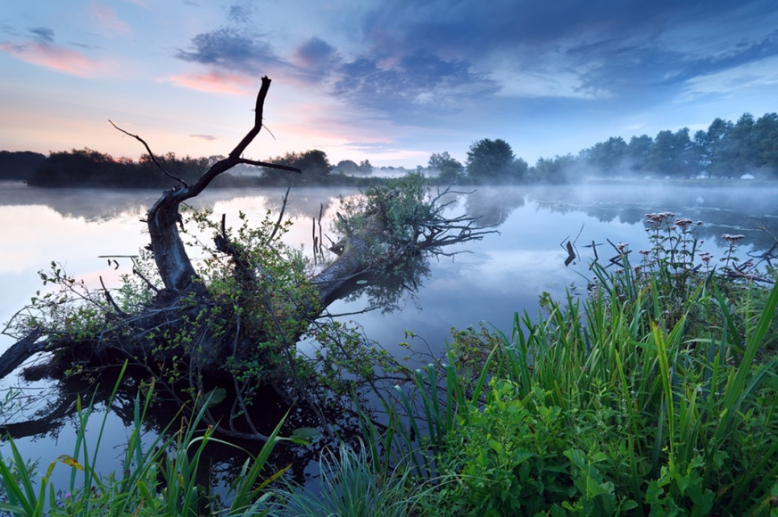 Antea Group Sponsors 2026 AWS Global Water Stewardship Forum Through Inogen Alliance