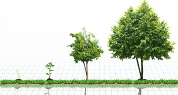5 Ways to Build Your Company's Reputation for Sustainability
