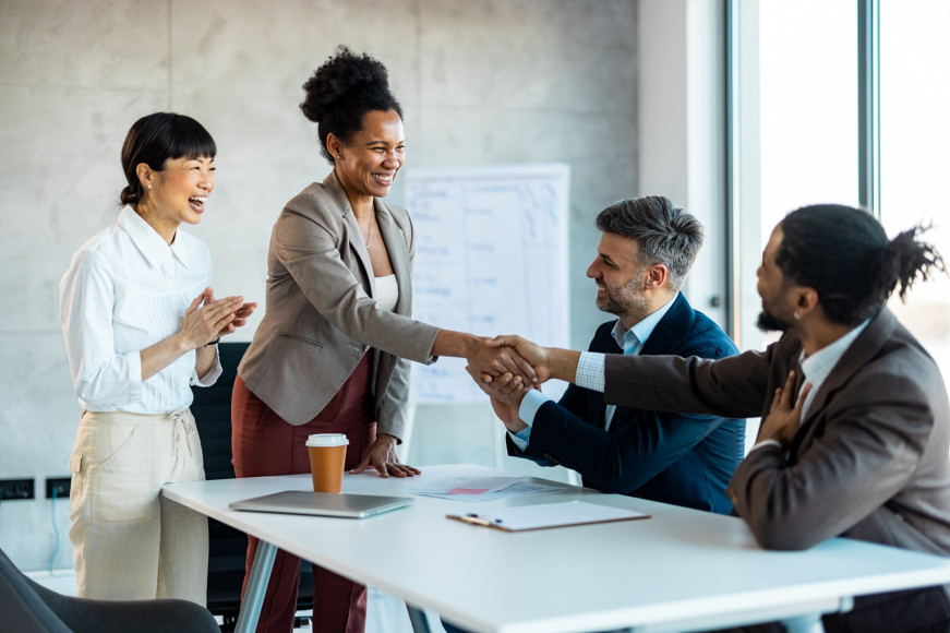 Pre-acquisition Diligence Support for a Large Private Equity Firm 