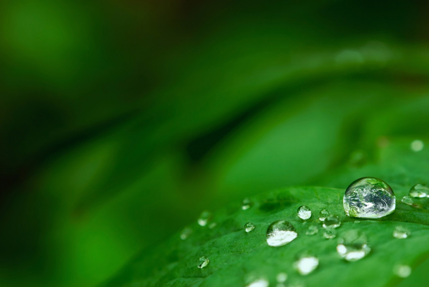 Antea Group Continues Sponsorship of the 2025 AWS Global Water Stewardship Forum Through Inogen Alliance 