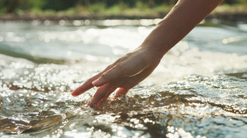 The Vital Essence: Understanding the Importance of Valuing Water in Water Stewardship