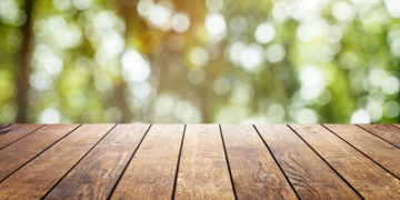 Taking the Long View: 30 Years in EHS and Sustainability