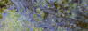 Oil on Surface Water