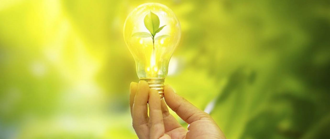 4 Must-Know FAQs for Sustainability Consulting in the Tech World