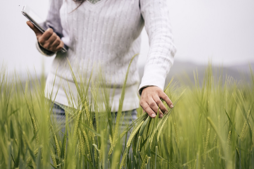 Farmer at work