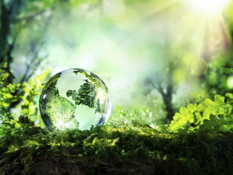 Antea Group Joins Forces with REMADE for Earth Day