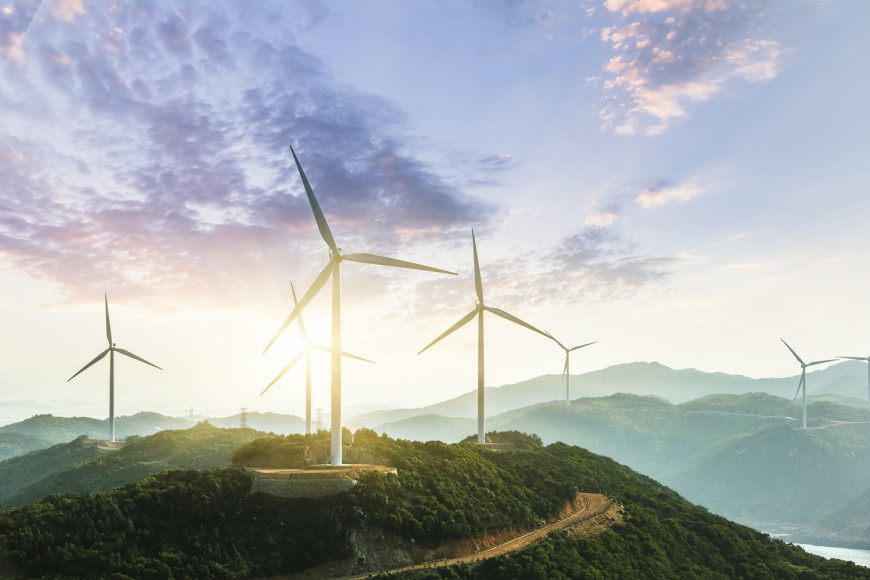 Unlocking the Value of Nature: The Role of TNFD in Corporate Strategy 