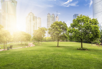 Sunny city park