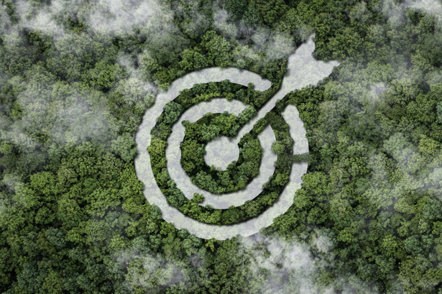 How a Climate Target Strategy Identified Billions in Revenue at Risk
