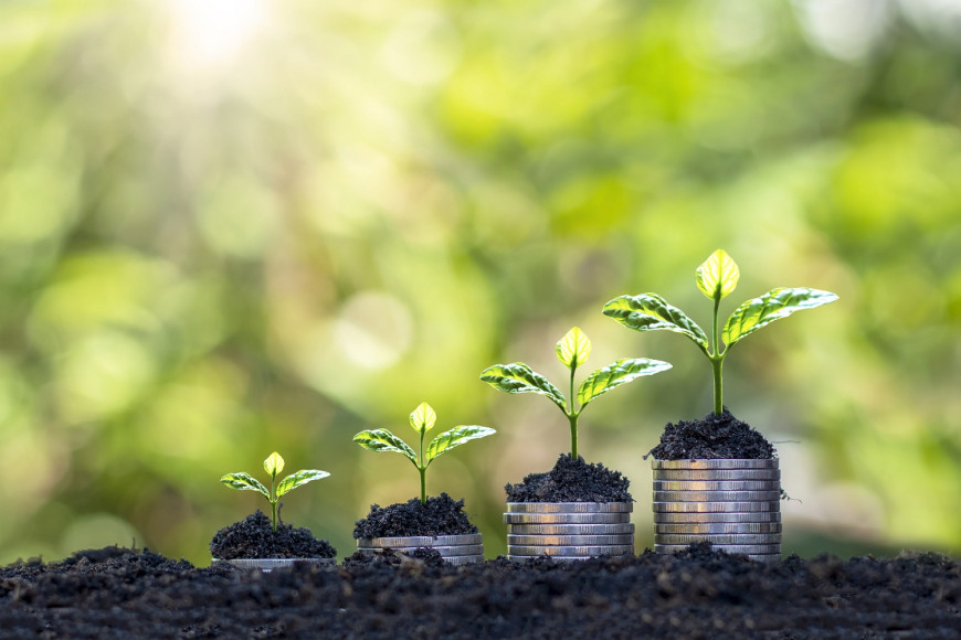 Navigating the Politics of ESG as a Business Leader