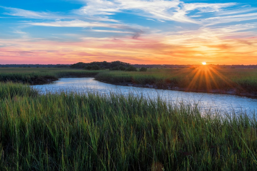wetland at sunset