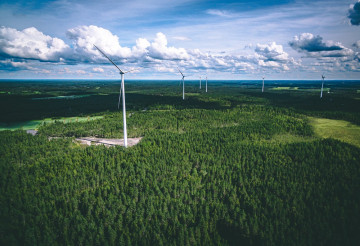 wind turbines in a field