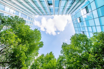 Reducing Business Environmental Impact: The Tech-Driven Approach 