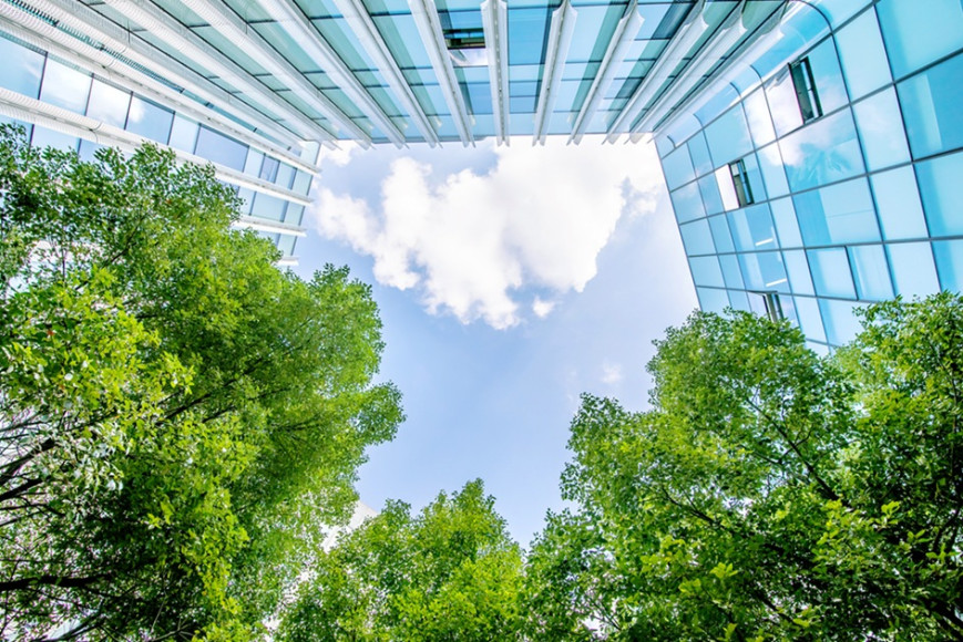 Reducing Business Environmental Impact: The Tech-Driven Approach 