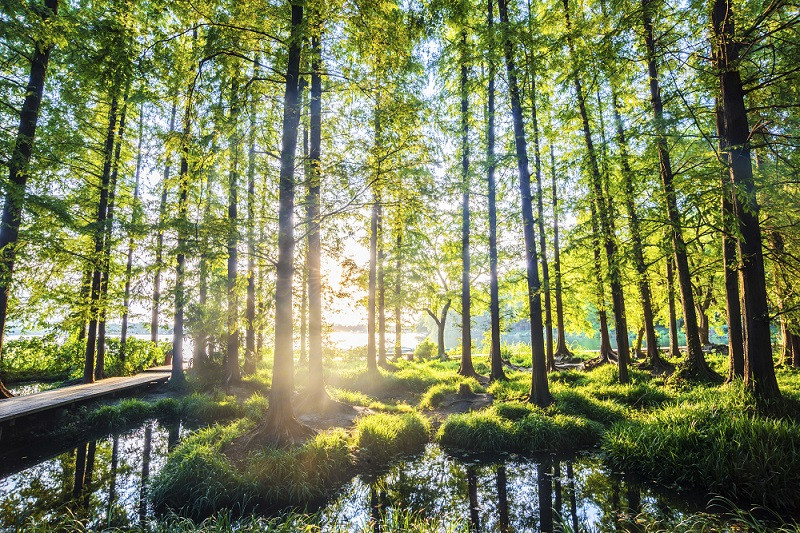 Environment Analyst Ranks Antea Group in Top 100 Global Environmental & Sustainability Consultancy Firms