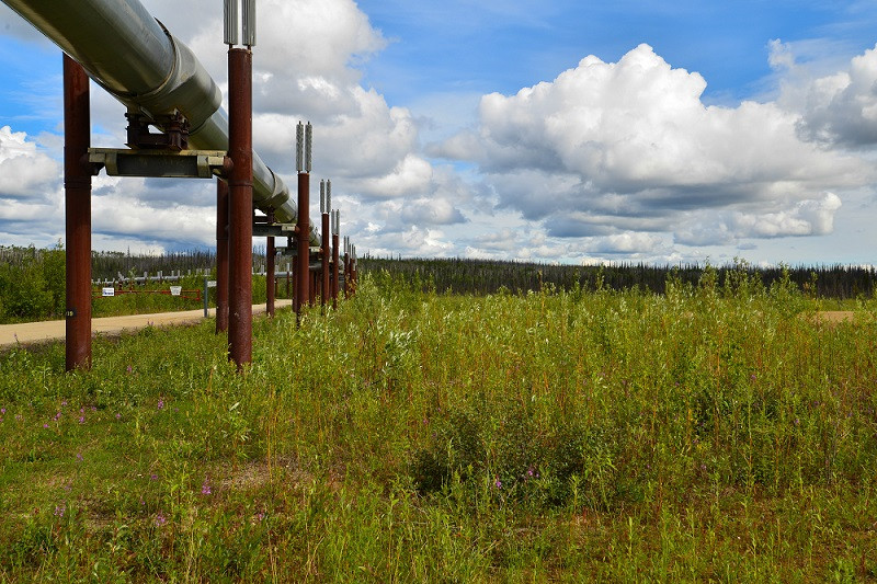 Gas pipeline running through a field