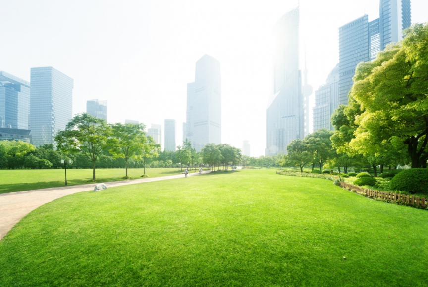 Park in a city 