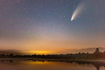 UFOs and Sustainability: What Can We Learn from the Dogged Pursuit of Disclosure?