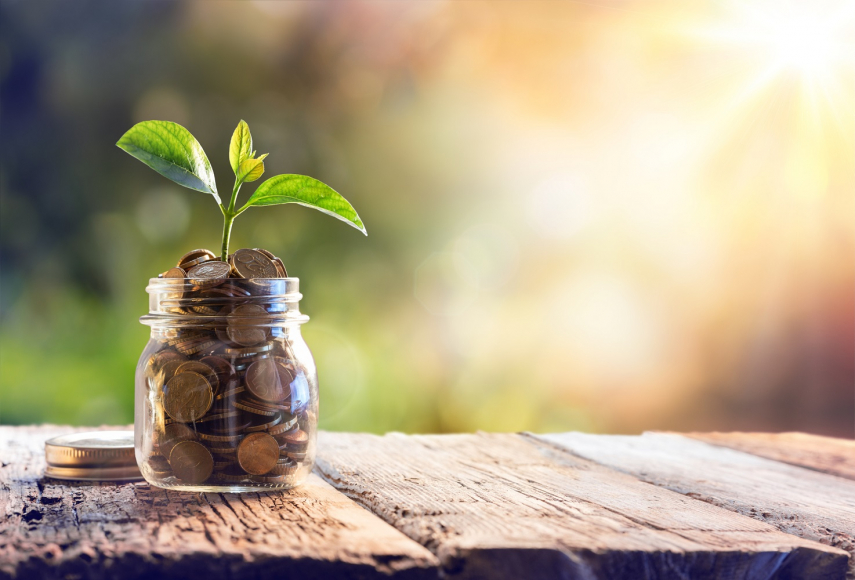 Plant Sprouting Out of Coins