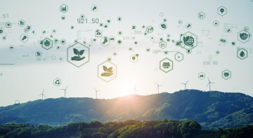 Building a Strategy and Roadmap to Support Carbon Neutral Goal