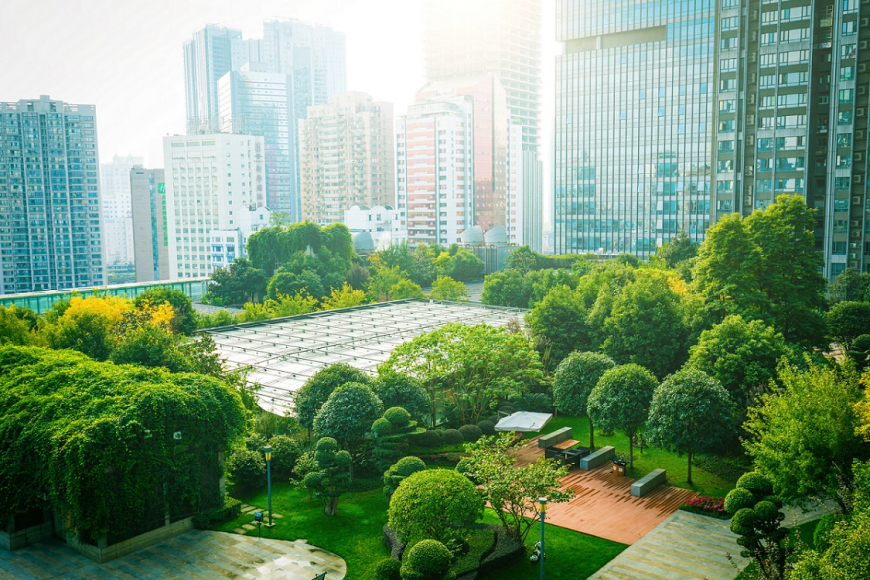 The ESG Evolution: How (and Why) Two Tech Companies are Tackling ESG 