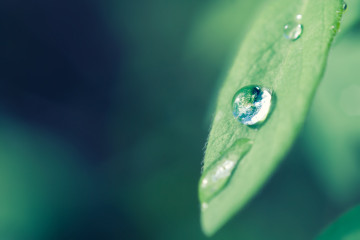 Every Drop Counts: The Business Case for Water Stewardship