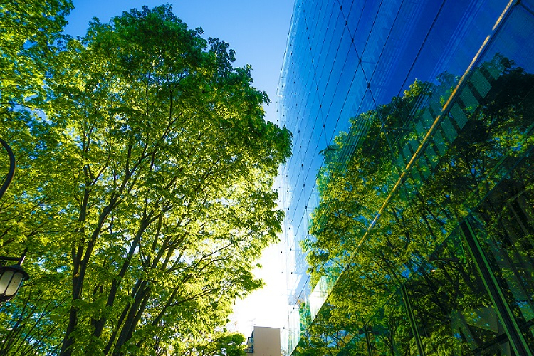 Low Carbon Transition Plans: What You Need to Know 