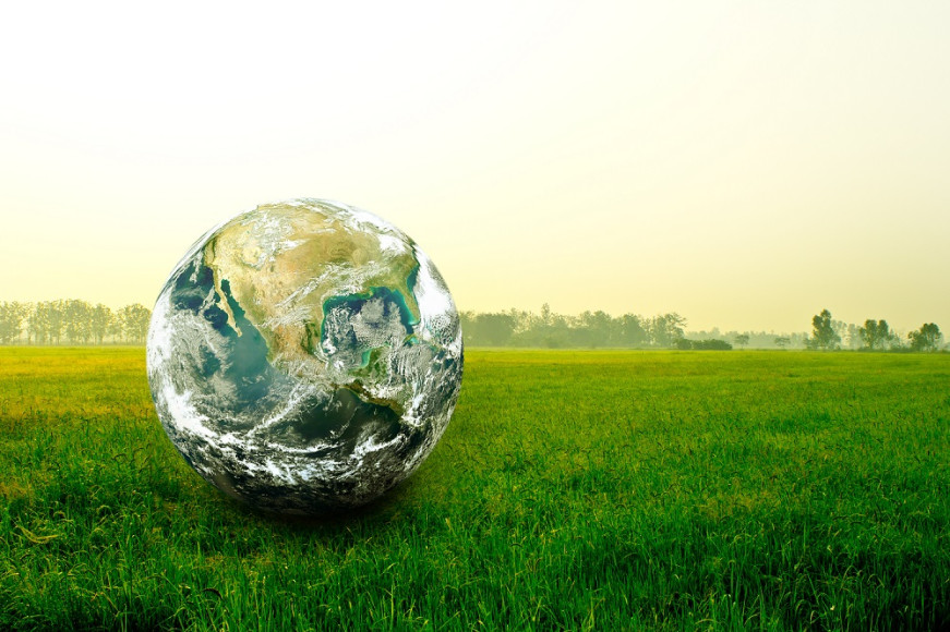 Globe in a field