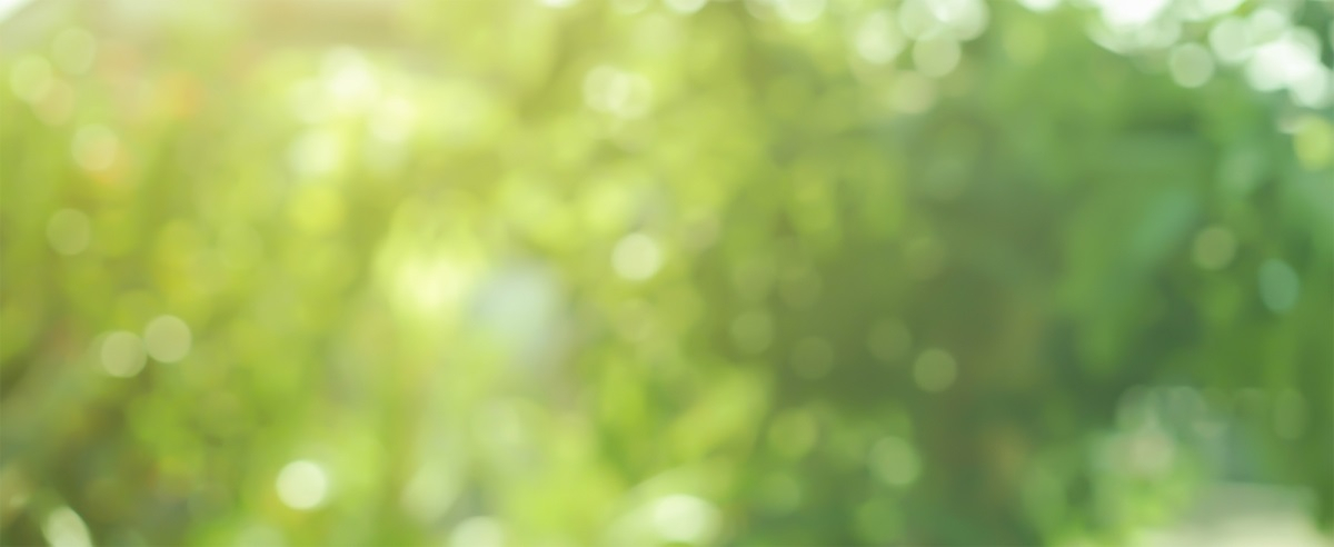 Antea Group Announces New Service Offering: Sustainability Transaction Assessment Report (STAR)