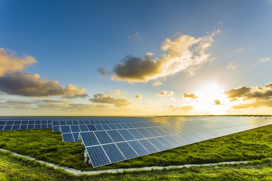 ‘Unprecedented’ Demand for Carbon Offsets Despite Greenwashing Claims 