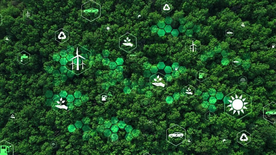 Understanding SB 253: A Guide to California’s Climate Accountability Standards