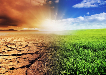 Managing Climate Risk