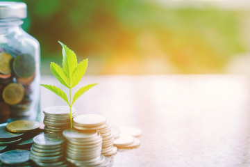 A Business Guide to Sustainable Finance