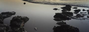 Acid Release Remediation Results in Over 1.5 Million Dollars Saved