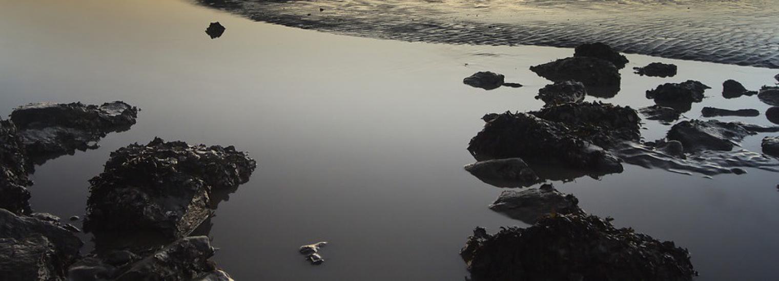 Contaminated surface water