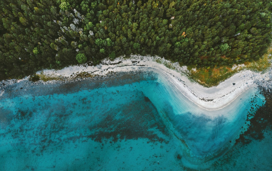 Inogen Alliance on How Your Business can Achieve Climate Neutrality
