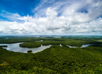 Amazon River from above